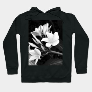Plumeria in Black And White Hoodie